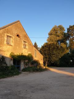 Chambres d'hôtes Ferme de Sardonnet - 7