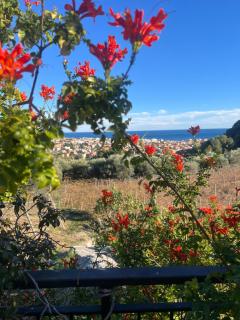 Enjoy the stunning views from our Riviera home - 0