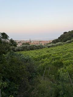 Enjoy the stunning views from our Riviera home - 6