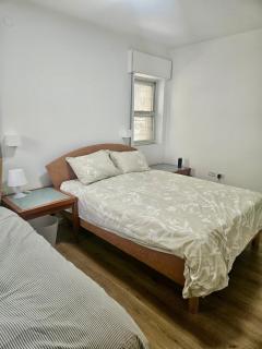 Kosher Villa in earth of Moshava - 4