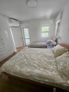 Kosher Villa in earth of Moshava - 3