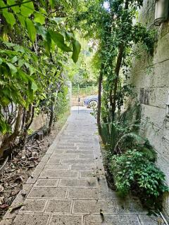 Kosher Villa in earth of Moshava - Jeruzalem - 3