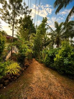 Eden view homestay - 9