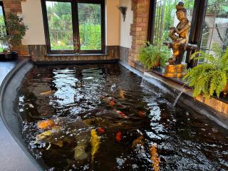Balancyoga Guesthouse - 4