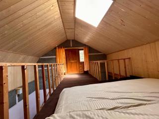 Tirthan river and wildlife cottage - 2