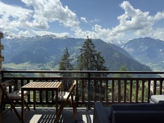 Central Verbier 5-bedroom Penthouse with Pool, Sauna, Gym, Stunning View - 6