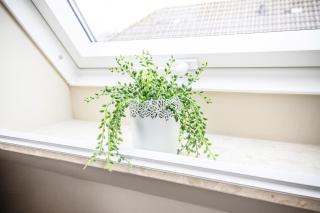 Küsten Suite Deichherz - Deichblick, Balkon, 49qm - 1