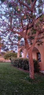 Villa Thalassa, la tua oasi ideale - 4