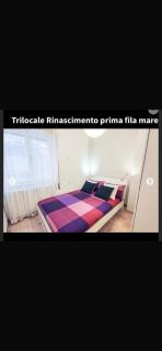 Alfiere apartament - 6