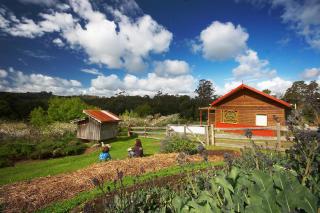 Elvenhome Farm - Deloraine - 5