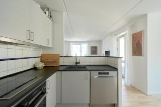 Amazing lake-side apartment in central Copenhagen - 6