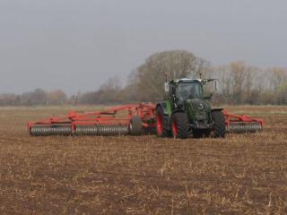 Black Drove Farm - 4
