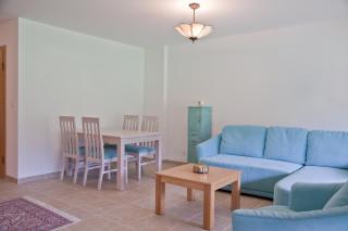 Viva Maria Harmonia - 8