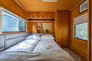 Brzozowy Brzeg - glamping nad wodą - 1