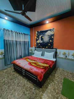 The nomadics nest - 2