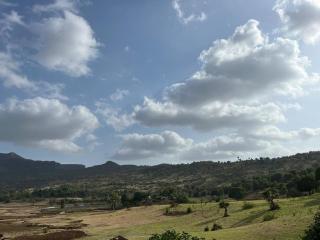 Vaisa Farm - 1