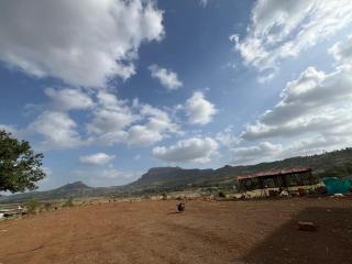Vaisa Farm - 3