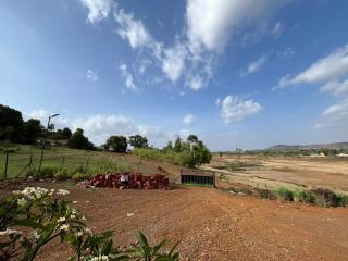 Vaisa Farm - 6