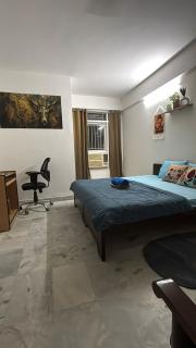 Royal Abode- Mi Road- cscheme-Pink City-Near Airport and Jaipur Junction Railway station - 8