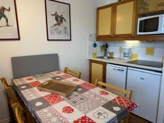 Studio fonctionnel proche pistes avec terrasse et animaux admis - FR-1-181-2227 - 1