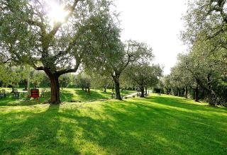 Al Vajo - Lazise - 0
