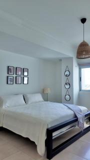 Luxury Apartment in Naco Prime Location - Maison Palmera - 5