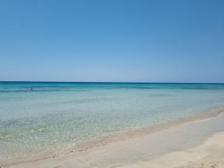 Posidonia -Son Bou Apartment - 9