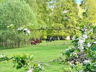 Forester's Cottage - 5