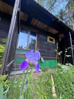 Stare Budy House - 7