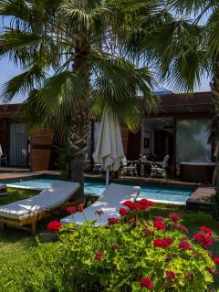 Adella Beach Resort Hotel - 5