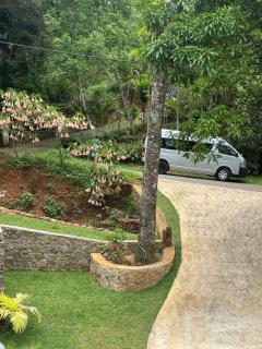 Blue Rock Retreat - 2