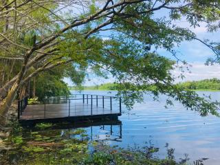 River Tree Bolgoda - 0