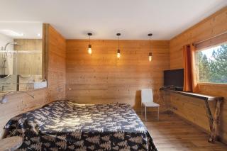 Chalet Sorbiers - 2