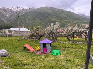 Cottage kazbegi sioni - 8