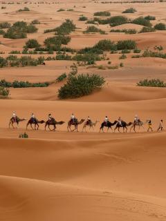 Roaming Desert Luxury Camp - Lac Yasmins - 2
