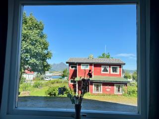 Lofoten Light - 2