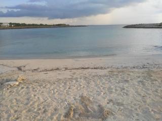 Vacation home in Salento - Porto Cesareo - 4