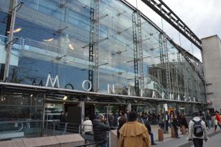 Paris Studio Roger 2 in Montparnasse Denfert Rochereau, with direct train RER B to and from CDG airport - 1