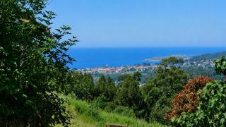 Casa Fonte das Rozadas, with BBQ and garden - 9
