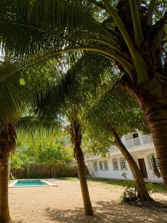 Casa Caimán - 1