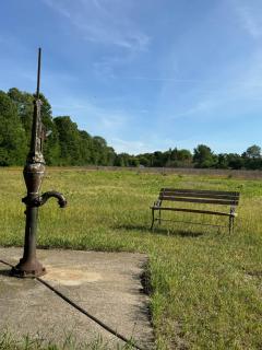 100-Acre Luxury, Dog-Friendly, Sleeps 8-10 - 9