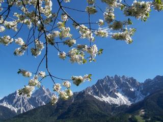 BIO Ranerhof - San Candido - 5