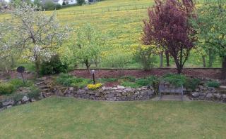 Wiesenblick - 9