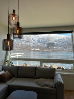 Sea & Aurora View Apartment - 9