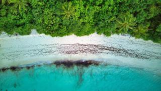 Dhiffushi Reef & Beach - 2