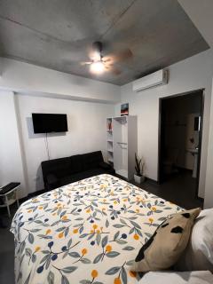 New furnished apartment near BBVA Stadium - 5