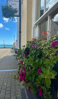 Myrtle House Hotel - 4