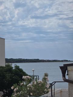 Apartmani Ruzmarin - 1