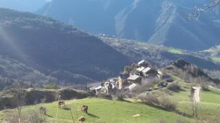 Casa Tarrufa - 9