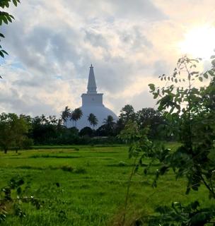 147 Homestay Anuradhapura - 4